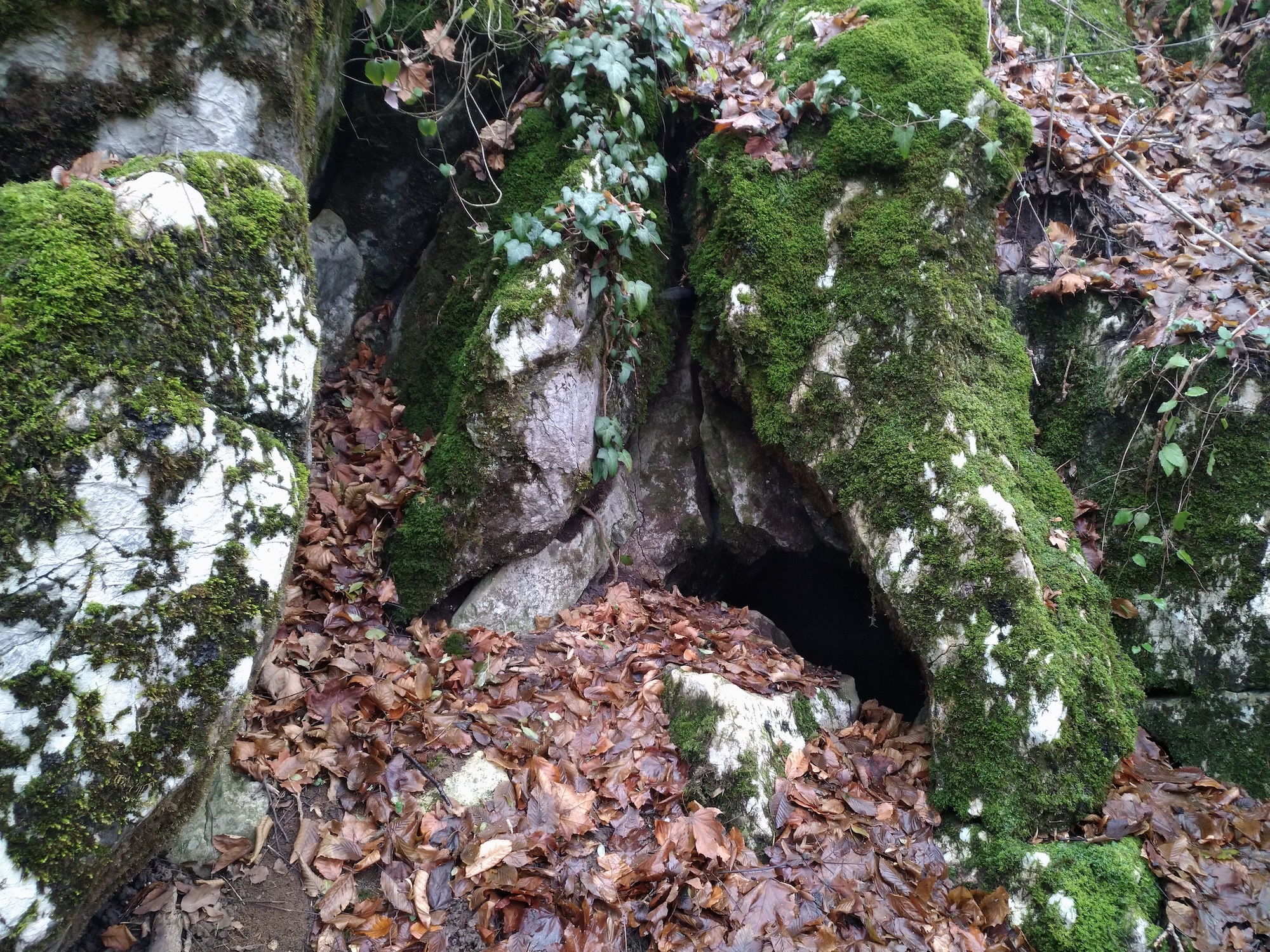 Peştera de lângă Steierdorf - Image 2